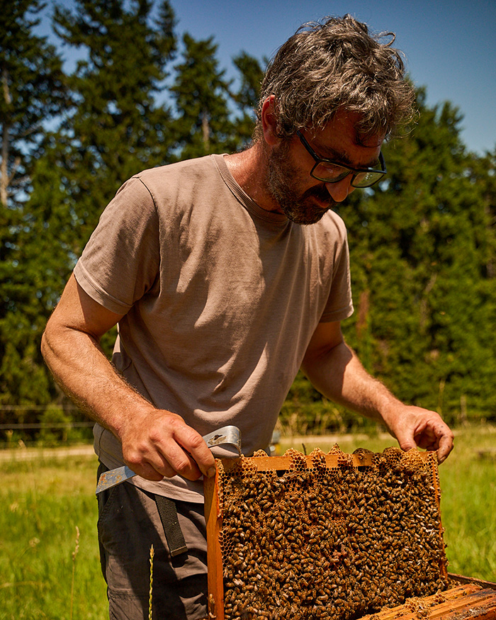 Les Ruchers du Renard